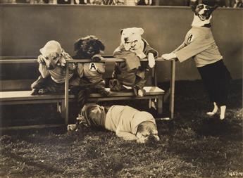 (DOGS) Group of 17 press prints, comprising 16 from the MGM Dogville comedy College Hounds.
